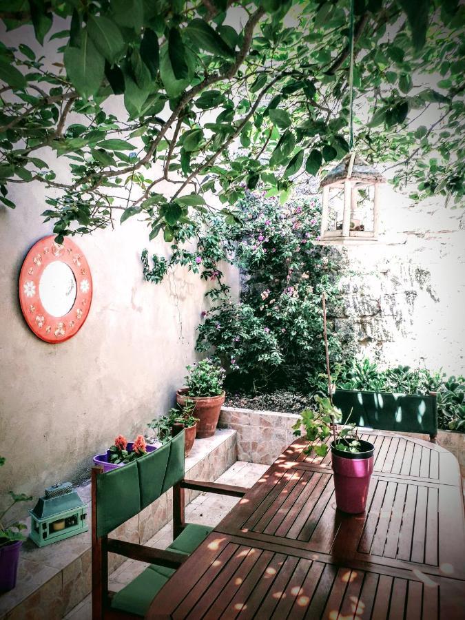 La Collina Dei Ciliegi Bed & Breakfast Sarule Ngoại thất bức ảnh