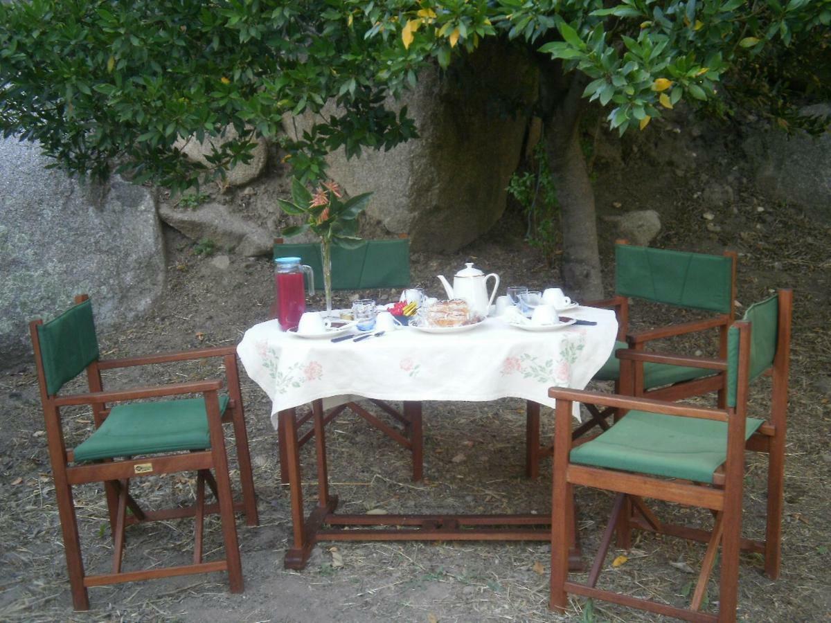 La Collina Dei Ciliegi Bed & Breakfast Sarule Ngoại thất bức ảnh